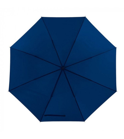 Зонт-трость "Ветер"