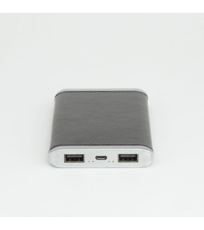 Power bank, 6000 мА/г, 2,1A, 2 USB, AL 6002