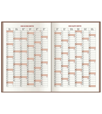 Ежедневник VIVELLA А5