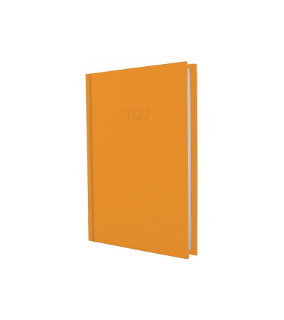 Дневник датированный SATIN А5