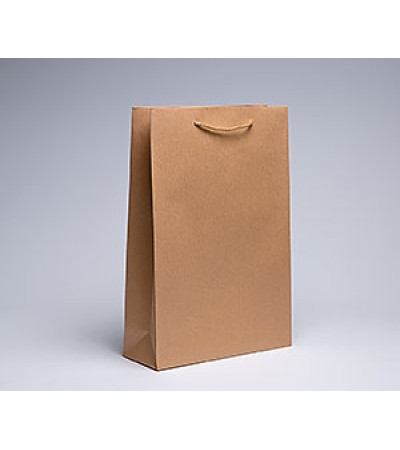 Бумажные пакеты без печати