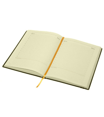 Ежедневник недатированный Oxido