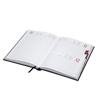 Ежедневник 'Web'