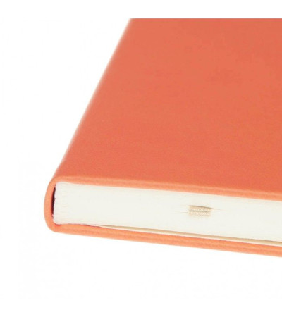 Записная книжка Туксон А5 (Ivory Line) 1242