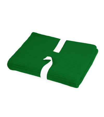 Плед з флісу Montana, TM Discover