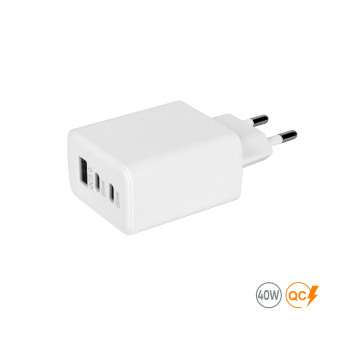 Мережевий зарядний пристрій 40W Real, TM TEG