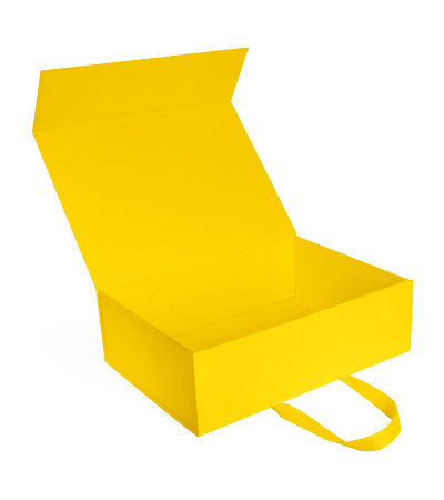 Коробка подарункова Case, ТМ Totobi