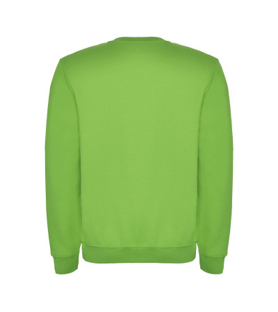 Реглан Clasica 280 ТМ Roly