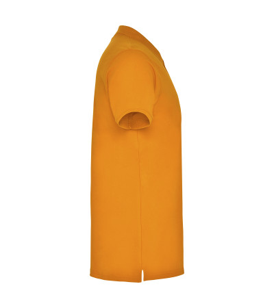 Поло Star 200, TM Roly